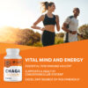Vimergy Chaga Caps 白樺茸膠囊（90顆）：圖片 4